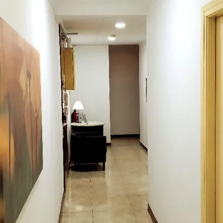호스탈 압솔루트 게스트하우스