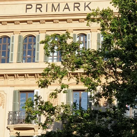 Absolut (adults Only) 2*