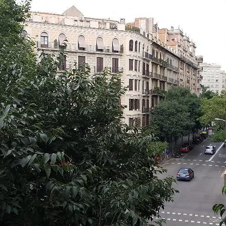 Affittacamere Absolut (adults Only)