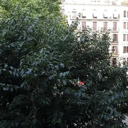 Absolut (adults Only) Barcellona